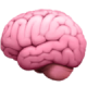 Brain (1) Brain (1)