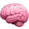 Brain (2) Brain (2)